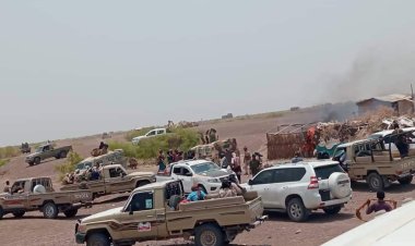 المحرمي يوجِّه بدعم ومشاركة ألوية العمالقة في الحملة الأمنية التي وجَّه بها محافظ لحج في رأس العارة