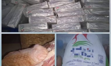 المواصفات تكشف عن ضبط شحنة دجاج فاسدة في نقطة العلم شرق العاصمة عدن