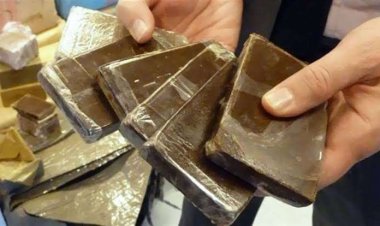 ضبط ما يقارب نصف الطن من المخدرات في منفذ الوديعة بحضرموت