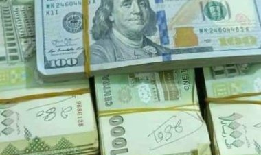 شرطة المعلا تلقي القبض على عصابة سرقة بحوزتهم مبالغ مالية