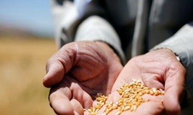 الأسد يكشف شريك أمريكا في تقاسم أرباح سرقة القمح والنفط السوري من البلاد  .