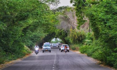 تحذير أممي من افآت تهدد المحاصيل الزراعية في الجنوب