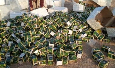 جمارج شحن تتلف 206 كرتون من شمة الحوت الخطيرة