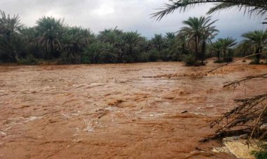 العاصفة ”تيج“ تضرب أجزاء من سقطرى