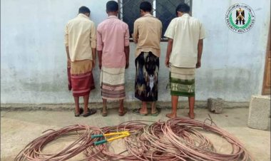 حزام عدن يلقي القبض على عصابة قامت بسرقة كيابل الضغط العالي بالبريقة