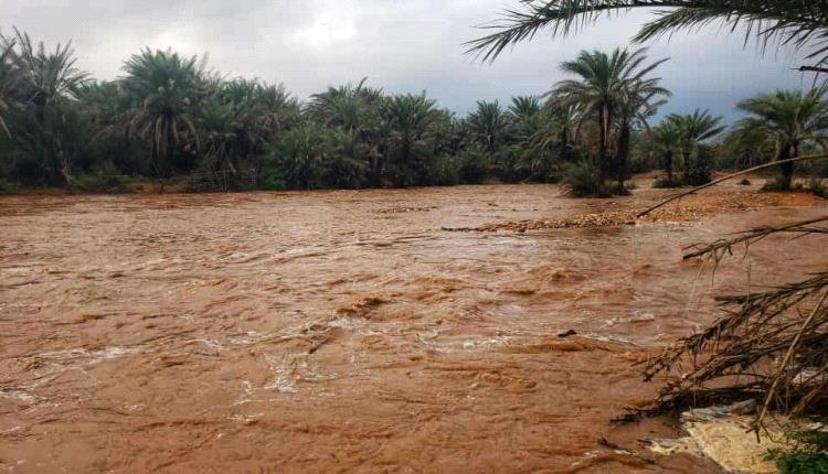 العاصفة ”تيج“ تضرب أجزاء من سقطرى