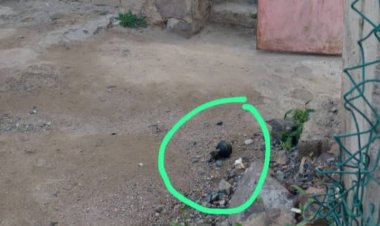 العثور على قنبلة أمام منزل أحد المواطنين بمديرية جبل حبشي في مدينة تعز