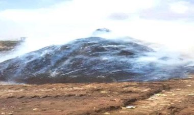 مصادرة وإتلاف شحنة “فلفل” فاسدة في العاصمة عدن