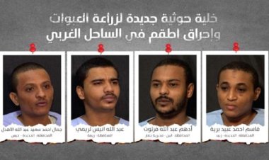 القوات المشتركة تقبض على خلية حوثية جديدة في الساحل الغربي