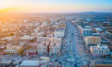 ضبط مطلوب أمني على ذمة قضائية جنائية في شبوة