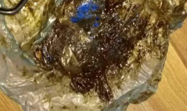 امن بيحان بمحافظة شبوة يلقي القبض على شخص بحوزته 93 جرام من مادة الحشيش المخدر