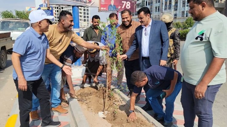 مدير عام المنصورة يدشن تشجير الجزيرة الوسطية بالطريق البحري