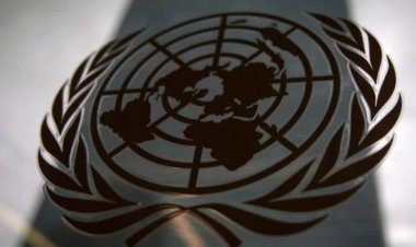 انخفاض طلبات براءات الاختراع العالمية لأول مرة منذ 14 عامًا