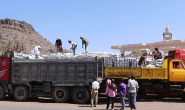 بدعم الرئيس الزُبيدي.. انتقالي الضالع يدشن توزيع السلال الغذائية على أسر الشهداء والجرحى