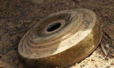 وفاة مُسن بلغم حوثي أثناء رعي الأغنام في محافظة الجوف اليمنية