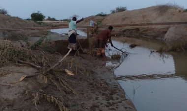 اللجنة الزراعية بزنجبار تناشد مديري مكتب الزراعة والري بسرعة تنفيذ الخطة وإيجاد الحلول والمعالجات لاستقبال مياه السيول