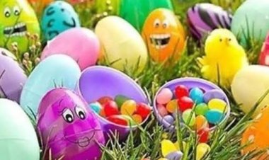 توحد مائدة المصريين.. سر الاحتفال بـ “شم النسيم” وتناول الفسيخ والبيض الملون