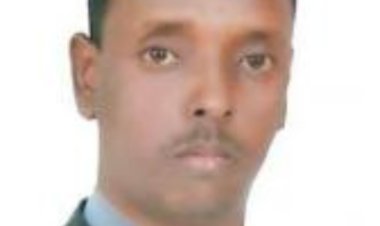 مايو وابريل الحلم والكارثة..