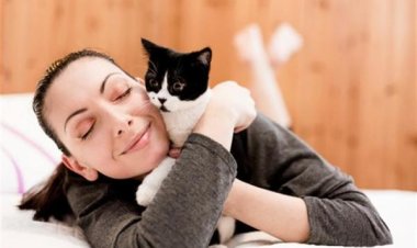 دراسة صادمة.. تربية القطط لها آثار ضارة على الصحة العقلية