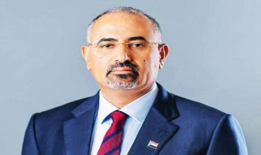 الرئيس الزبيدي يصدر قرارا بشأن المصادقة المصادقة على اللائحة الداخلية لمجلس المستشارين