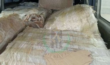 الحزام الأمني يضبط أدوية مهربة مخدرة ومنتهية كانت في طريقها للعاصمة عدن