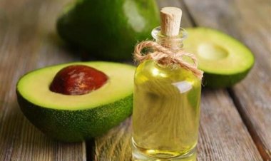 زيت الأفوكادو .. فوائد مذهلة للبشرة