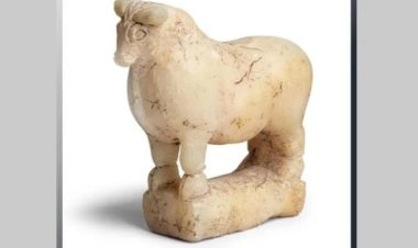 خبير آثار: ثور يمني يباع في لندن مطلع الشهر القادم