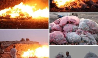 المهرة ..إتلاف ثلاثة أطنان ونصف من المواد منتهية الصلاحية