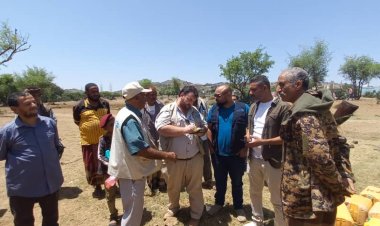 وفد رفيع من منظمة ال FAO يزور مديريه الضالع ويتفقد سير الأعمال المنفذة لمشروع دعم سبل العيش في عددا من مناطق المديرية