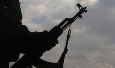 جريمة مروعة .. قيادي في ميليشيات الحوثي يقتل أمه و اخيه ونقل شقيقته إلى العناية المركزة