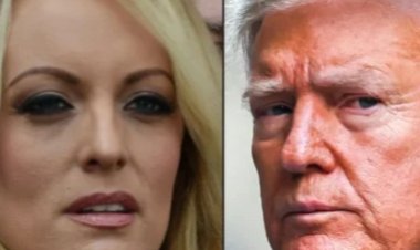 بعد تهديد مرعب.. هكذا حمت ستورمي دانيلز نفسها أثناء المحاكمة