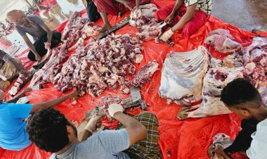 توزيع أضاحي في مديريتي سيحوت والمسيلة بالمهرة بدعم من الشيخ باكريت