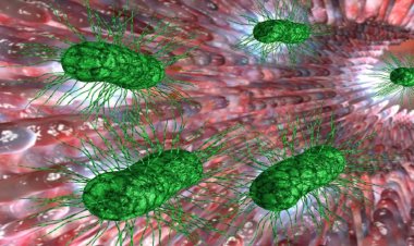 صحة الأمعاء قد تؤثر على القلق الاجتماعي.