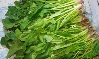 ماعلاقة السبانخ بوجود فيتامين سي؟