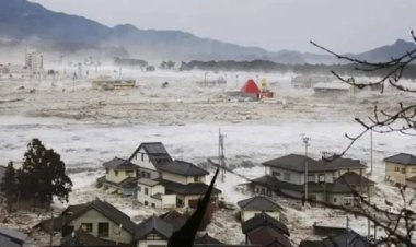 عالم هولندي يحذر من تسونامي بمنطقة البحر المتوسط