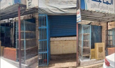 محلات بيع الدجاج تغلق أبوابها في كريتر بسبب ارتفاع الأسعار وضعف القدرة الشرائية