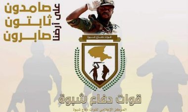 قوات دفاع شبوة: حملة تضليل تقودها أقلام مأجورة