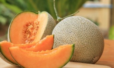 لماذا يجب تناول فاكهة الشمام خلال فصل الصيف؟