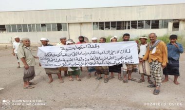 وقفة احتجاجية لملاك الأراضي الزراعية في مصنع معجون الطماطم بالفيوش لحج