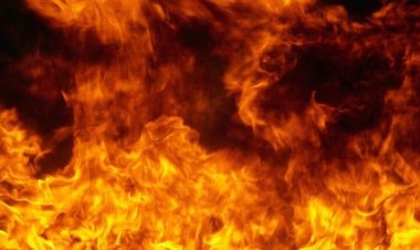 كلب يتسبب في انفجار منزل