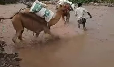 تعثر أهالي تورصة بالضالع من الوصول الى منازلهم ويطلقون مناشدة عاجلة