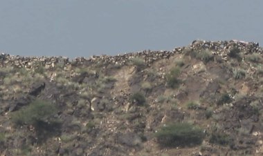 الضالع.. رصد تحرك لمليشيات الحوثي واستحداث مواقع جديدة مطله على جبهة تورصة بالازارق