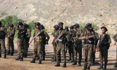 حزام أبين يقيم عرضًا عسكرياً وخطابيًا بمناسبة ذكرى ثورة 14 أكتوبر