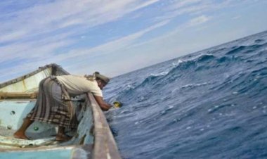 هيئة المصائد السمكية بالمهرة تحذر الصيادين من الإبحار