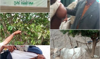 أبناء المسيمير الحواشب: نتعرض لحرب إبادة جماعية وتدمير ممنهج لكل أشكال الحياة من قبل مصنع أسمنت الوطنية