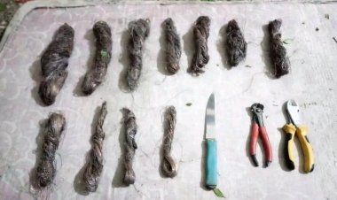 أمن مديرية لودر يلقي القبض على متهمين بسرقة أسلاك الاتصالات