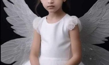 محلل سياسي سعودي .. يعلق على القاضي الذي حكم في قضية اغتصاب الطفلة جنات