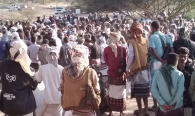 ابين تودع الشيخ عزب احمد الحمزه