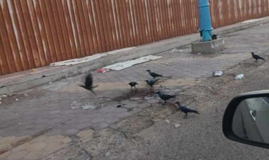 العثور على جثة مواطن متحللة داخل باص فوكسي بالعاصمة عدن