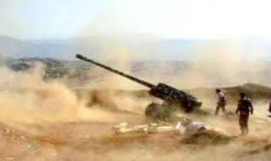 مدفعية القوات الجنوبية تستهدف تجمعات لمليشيات الحوثي شمال الضالع